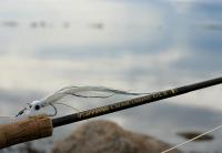 Bifogad bild: fly_rod.jpg